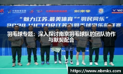 羽毛球专题：深入探讨南京羽毛球队的团队协作与默契配合