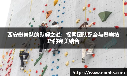 西安攀岩队的默契之道：探索团队配合与攀岩技巧的完美结合